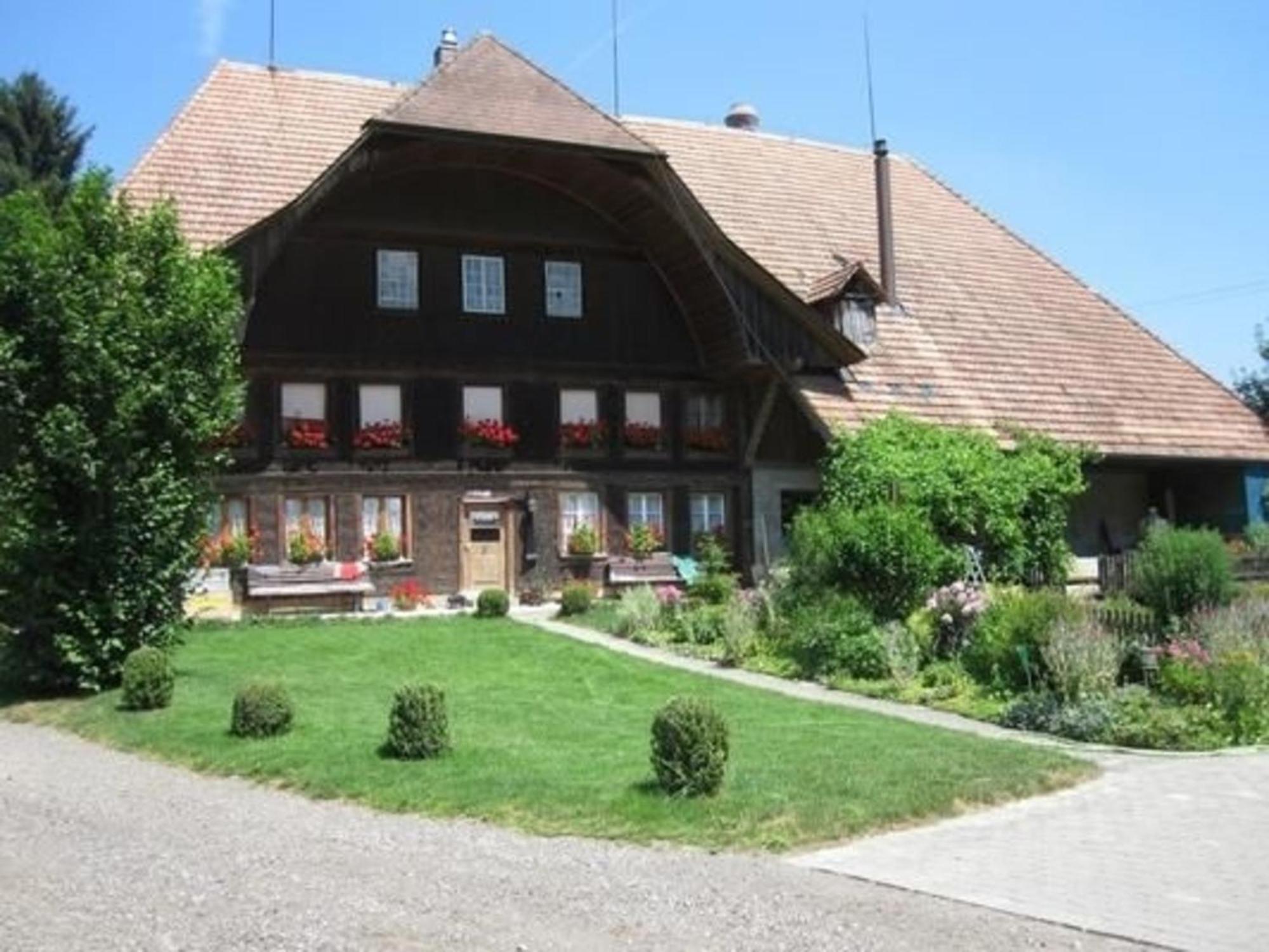 Bauernhof-Bleiche Apartment Rohrbach Exterior photo